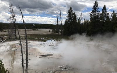 Day 3 a 5 – Yellowstone